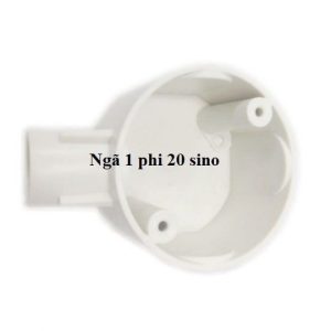 Ngã 1 phi 20 sino