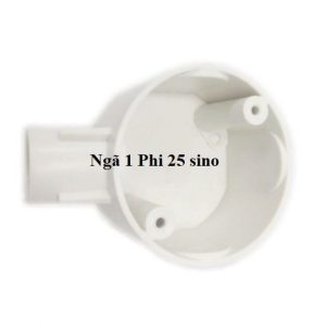 Ngã 1 Phi 25 sino